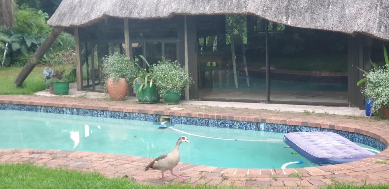 The Lapa Durban